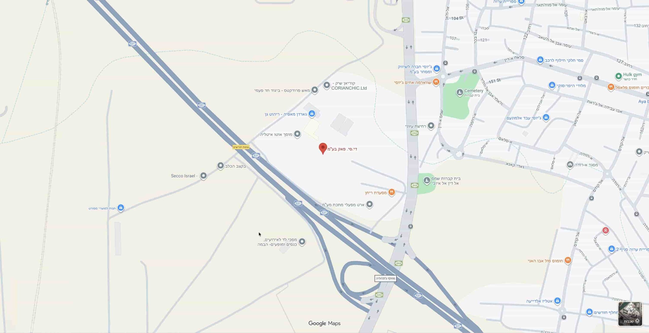 google map